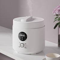 Cuisinière à pression électrique à commande numérique, directement de l'usine, multi-usages, cuisson rapide pour riz, soupe, grande capacité 5L