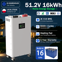 Stock UE 8000+ Cycles 51.2V 314Ah 16kWh Batterie de stockage d'énergie solaire LiFePO4 Pack de batteries 16kW pour système solaire avec BMS JK V19