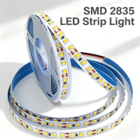 Bande lumineuse LED 2835 à haut lumen, extérieure, IP65, 12 volts, bandes lumineuses intelligentes, ruban LED 120D pour la publicité