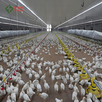 Équipement d'élevage avicole entièrement automatique pour poulets de basse-cour, poulailler en plastique pour poulets de chair avec mangeoire et abreuvoir