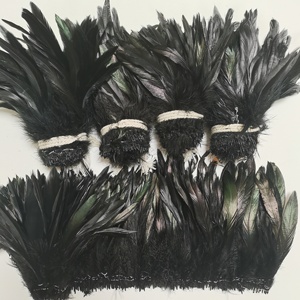 Plumes de Coq Noires de 6-8 pouces en Gros pour la Confection de Mouches de Pêche, Décorations de Costumes de Carnaval <span class=keywords><strong>et</strong></span> de Festival Samba - Product Image 1