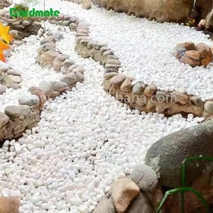 Pierres <span class=keywords><strong>de</strong></span> rivière décoratives GARDMATE blanches comme <span class=keywords><strong>neige</strong></span> 0,6-1 cm 1,8 kg modernes et imperméables pour aquarium, réservoir <span class=keywords><strong>de</strong></span> poissons, plantes en pot, décoration <span class=keywords><strong>de</strong></span> jardin - Product Image 5