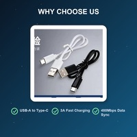 Kabel Pengisian Cepat USB a ke Type-C PVC 2 Buah 3A dengan Garansi 12 Bulan untuk iPhone 15/16