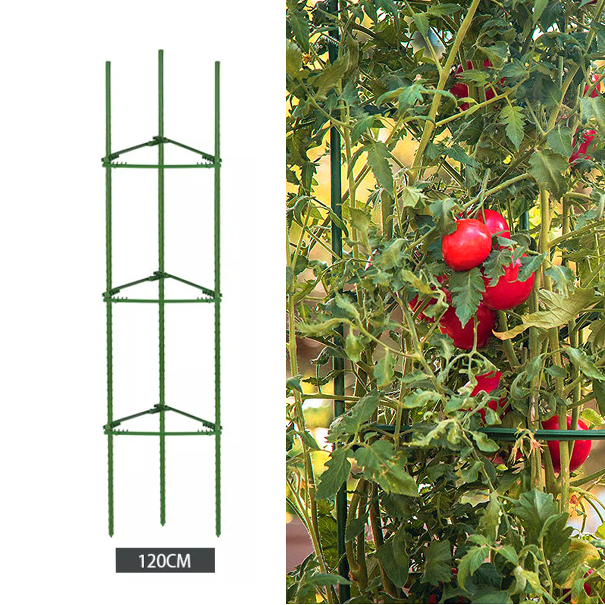 2 Vasi Auto-irriganti Con Traliccio Per Pomodori | Altezza Regolabile Fino A 113,8 Cm | Con Serbatoio D'Acqua | Per Piante Rampicanti Interno/Esterno