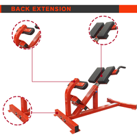 Équipement de gymnastique Offre Spéciale de haute qualité Machine d'extension de dos d'exercice intérieur