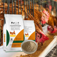 Un aliment prémélangé composé pour les poules pondeuses améliore la santé intestinale et la digestion augmente le taux de ponte et prolonge la production de pointe
