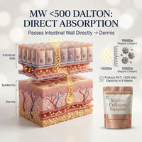 Collagène Marin 7-en-1 à Marque Blanche : Peptides, Tripeptides, Acide Hyaluronique, L-Glutathion, Quercétine, Biotine en Poudre – OEM/ODM pour la Peau
