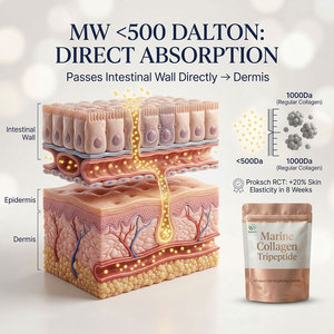 Private Label 7-in-1 Marine Peptid Tripeptid L-Glutathion Quercetin Biotin Pulver OEM ODM Hautaufhellende Botanische Mischung - Product Image 2