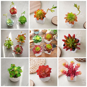 CallaFloral Plantes succulentes artificielles en pot, fleurs décoratives pour mariage, décoration intérieure et extérieure, 16 cm, PVC, artisanat - Product Image 3