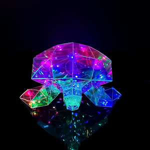 Tortues prismatiques holographiques 3D créatives pour animaux de compagnie décorations de pelouse de jardin de paysage lumières lumineuses à LED <span class=keywords><strong>tortue</strong></span> - Product Image 5