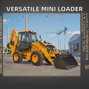 Pelleteuse pelleteuse pelleteuse multifonctionnelle et mini-pelleteuses à vendre - Product Image 2