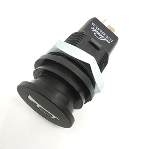 Interruptor de Bocina 11203584501, Interruptor de Control del Operador - Product Image 4