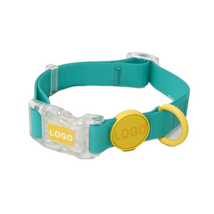 Ensemble laisse et collier pour chien personnalisé, en sangle enduite de silicone caoutchouté durable et de luxe, avec laisse longue en PVC imperméable. - Product Image 1