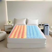 Matelas intelligent de luxe en coton de bambou 600TC à double zone de contrôle de température avec système de refroidissement silencieux et de réchauffement doux