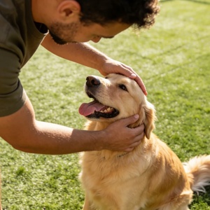 Futbol Sahası Taishan Suni Çim Astro Futbol Çimi 30/40mm Yangına Dayanıklı Köpekler İçin Yumuşak Kriket Çimi - Product Image 6