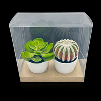 Boîte transparente réutilisable en PVC/PET écologique pour l'emballage de thé, aliments, bougies, plantes en pot et ornements, avec options de gaufrage personnalisables