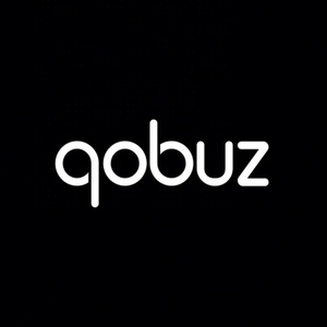 Software Qobuz para Escuchar y Descubrir Música en Línea - Product Image 4
