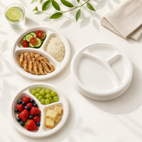 Assiette en bagasse écologique de 10 pouces à 3 compartiments pour la restauration