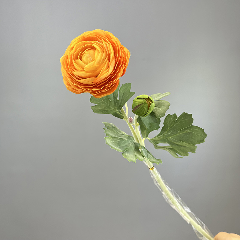 Naranja Amarillo