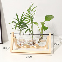 Vase suspendu en verre moderne avec cadre en bois, station de propagation hydroponique écologique et durable pour la décoration intérieure