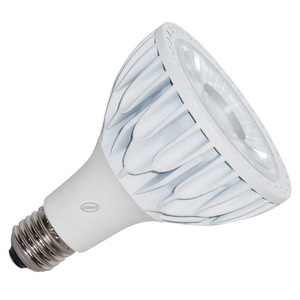 LEDEAST XP30R-30 Lámpara LED COB <span class=keywords><strong>de</strong></span> 30W al por Mayor, Bombilla LED <span class=keywords><strong>de</strong></span> 3000K 4000K 6000K PAR30, Foco para Tiendas <span class=keywords><strong>de</strong></span> Ropa - Product Image 1