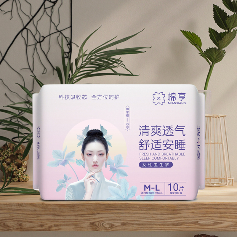 Customized Brand Disposable Period Panties Hygienic