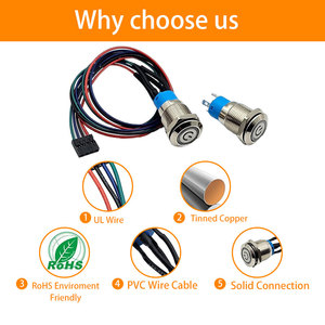 Maßgefertigter Elektronischer Schalter LED-Licht Computer DuPont Momentaner Metall-Druckknopfschalter mit Kabelbaum - Product Image 5