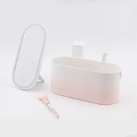 Vente en gros Miroir de maquillage LED portable Boîte à miroir LED pour les soins de la peau Boîtes de rangement cosmétique de voyage blanc rose Miroir LED