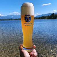 Hofbraeuhaus Muenchen Original HB Logo Premium Beer Glass Mug Fabriqué en Allemagne Oktoberfest Bavaria 0,2L 0,3L 0,5L