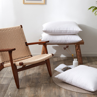 Oreiller en plumes douces de marque propre, écologique, non toxique, confortable, chaleur, design détaillé, noyau d'oreiller pour l'hôtellerie, en paire
