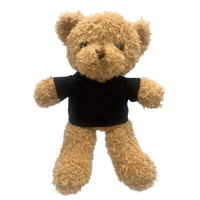 Songshan jouets LOGO personnalisé 30cm ours poupées vêtements ODM doux peluche jouet t-shirt Kwaii peluche ours à capuche jouets cadeau