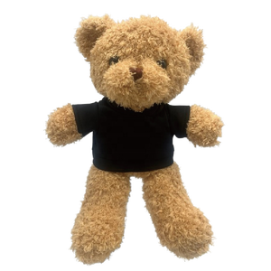 Songshan Toys Custom LOGO 30cm Bear Dolls Clothes ODM Soft Stuffed Animal Toy t <strong>Shirt</strong> Kwaii Plush Teddy Bears Hoodie Toys Gift - Product Image 5