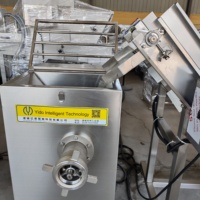Broyeur robuste de coupe bloc de viande congelée coupe Cube mouton boeuf Flaker équipement Machine à vendre