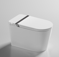 WC intelligent monobloc en acier inoxydable à poser au sol, chasse d'eau par siphon, eau froide, lavage féminin, lavage anal, buse autonettoyante