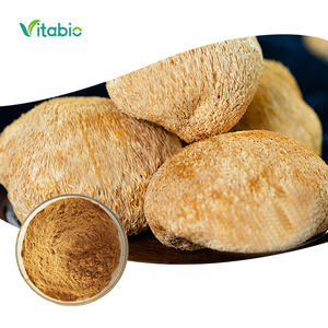 Private Label Bio-Hericium-Erinaceus-Extrakt Löwenmähnen-Pilzextrakt Löwenmähnen-Pulver - Product Image 1