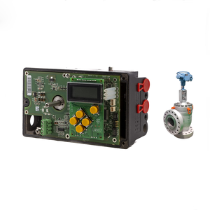 Posicionador de Válvula Flowserve PMV D20 con Wuzhong China - Product Image 2
