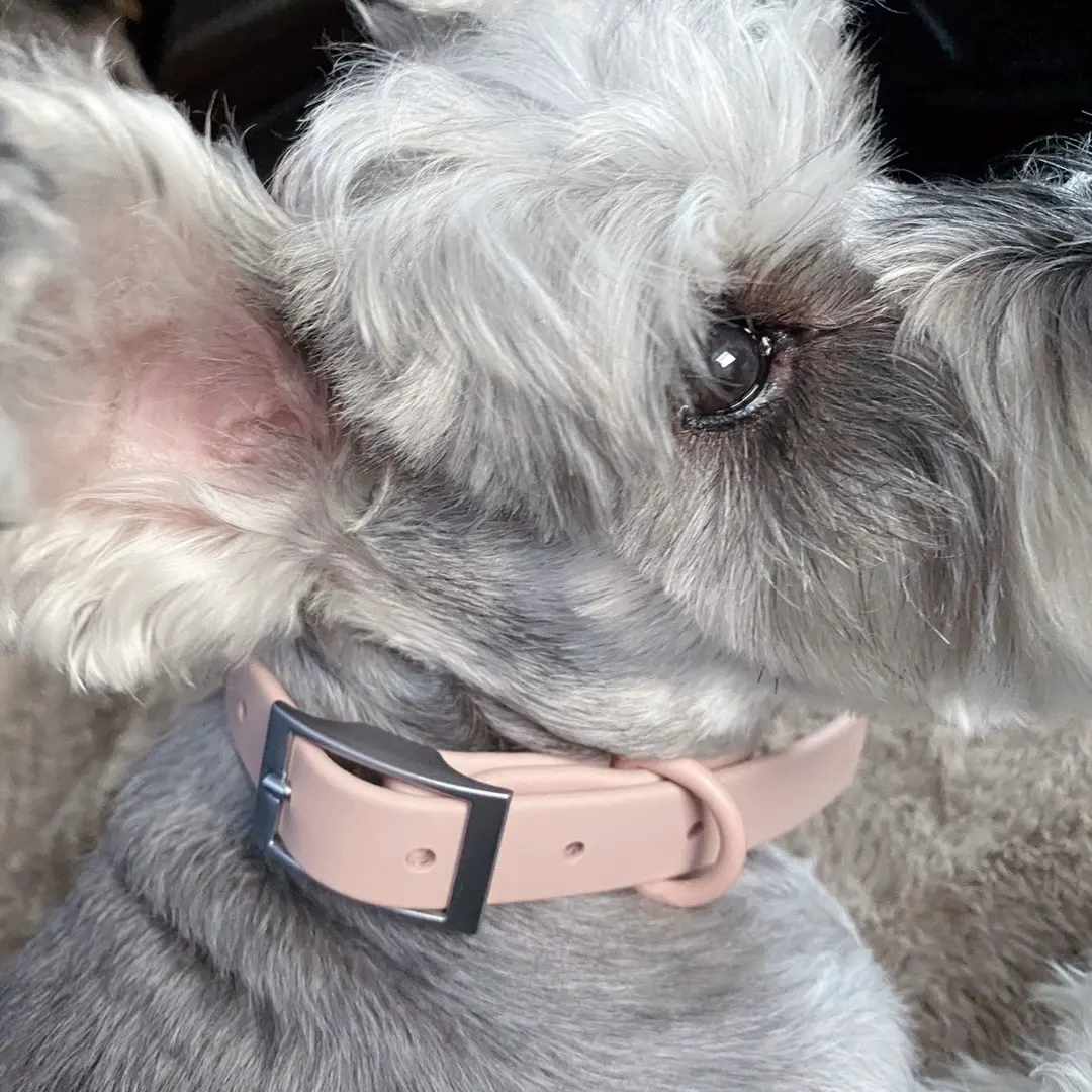 Collar de perro de silicona impermeable con logotipo personalizado de lujo Premium Multicolor verde azul Rosa PVC
