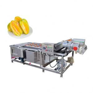 สายพานลำเลียงเครื่องจักรแบบมืออาชีพอัตโนมัติสำหรับการซักผักและผลไม้ - Product Image 5