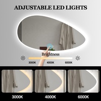 Écran tactile anti-buée imperméable de style moderne irrégulier avec miroir mural intelligent LED