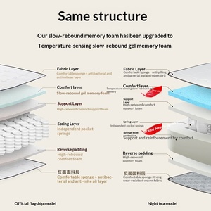 Five-Star Hotel 28cm Thick Mattress Soft <b>Cushion</b> Modern Simple Design Independent Pocket Spring <b>Memory</b> <b>Foam</b> Bedroom Dual T-Y301 - Product Image 2