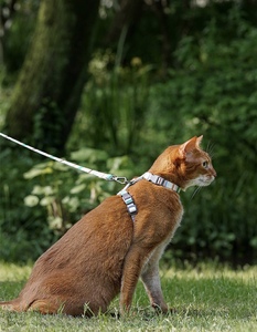 Nuevo estilo, moda de lujo, respetuoso con el medio ambiente, fácil de caminar, perro, gato, estilo H, juego de arnés y correa para perros, cuerda de plomo ajustable de 1,2 m - Product Image 6