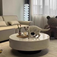 Table basse en marbre crème minimaliste italienne avec espace de rangement, design moderne subtilement luxueux et extensible pour salons