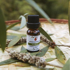 Huile essentielle rare et endémique de Saro (Mandravasarotra Cinnamosma Fragrans) 100% pure, liquide, note boisée-épicée, parfum de niche SAKAY, durée de conservation de 3 ans - Product Image 2