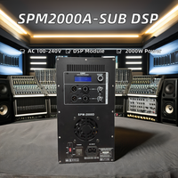 2024 nouveau lancement produits Audio professionnels SPM2000A-SUB DSP haut-parleurs de caisson de basses plaque métallique active sortie haute puissance 2000W