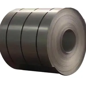 Factory SAF 2205 S2507 2207 UNS S32205 1.44105 Duplex Cold/hot Rolled Stainless Steel Coil /sheet In Stock Price List