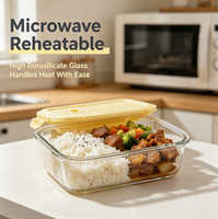 Boîte à lunch bento en verre borosilicate haute résistance de 640 ml, résistante à la chaleur, pour les employés de bureau, utilisable au micro-ondes, pour conserver les aliments frais
