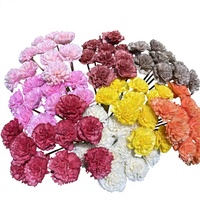 YNWYH Bunga Anyelir Buatan Tangan 4cm Terbuat Dari Kertas Bunga Mulberry Kering Dibuat Dengan Sangat Rapi Warna Cerah Mempercantik Setiap Ruangan