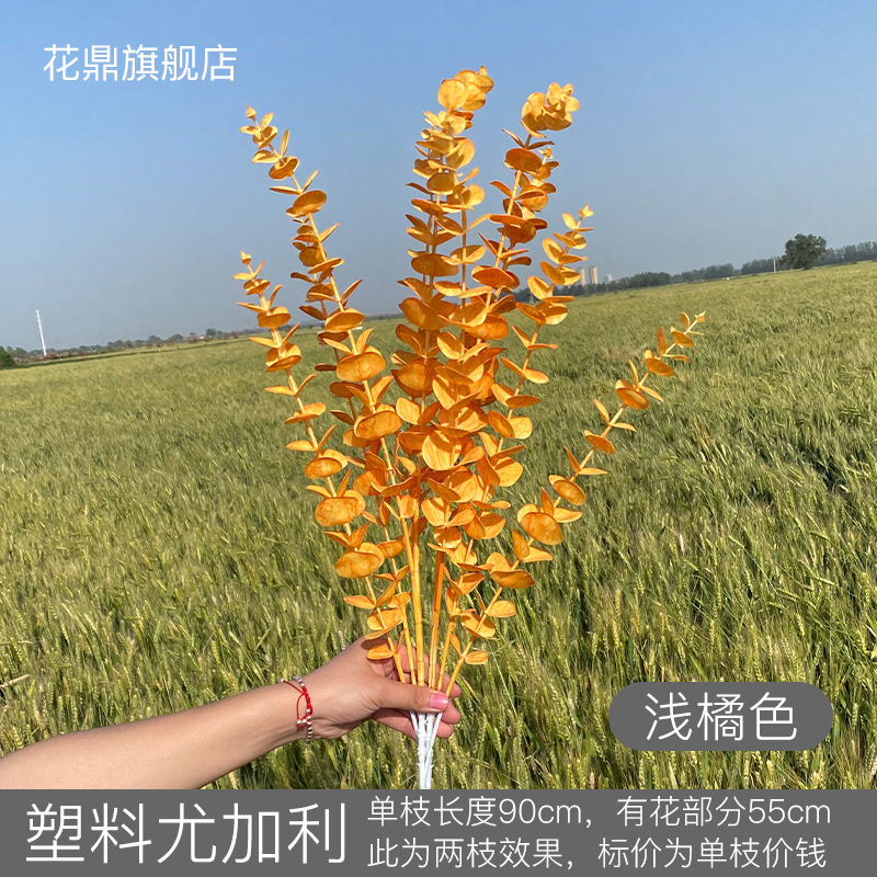 ยูคาลิปตัสพลาสติก สีส้มอ่อน