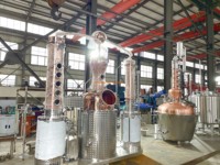 Alambic en cuivre clé en main 500L avec colonne de distillation pour distillerie artisanale