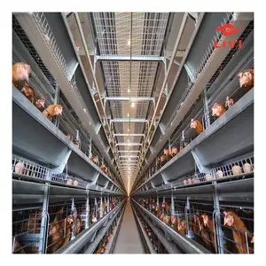 Buen proveedor, equipo de cría de aves de corral, jaula comercial para pollos de engorde y granja de pollos, diseño de construcción, casa para aves de corral